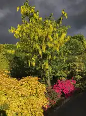 13 Trossachs GardensImage 49