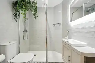 Apt 2 16 Deramore ParkImage 6