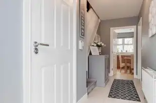28 RosslaneImage 3
