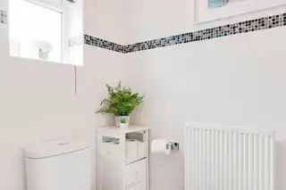 28 RosslaneImage 9