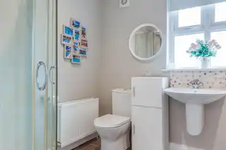 28 RosslaneImage 26