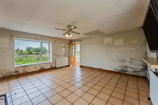21 Springvale RoadImage 5