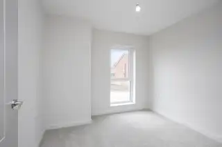 High TreesImage 21