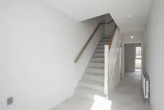 High TreesImage 7