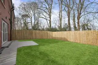 High TreesImage 25