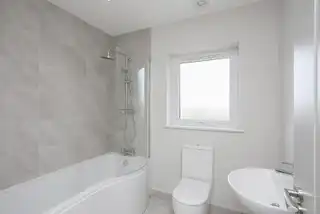 High TreesImage 23