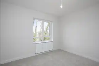 High TreesImage 18