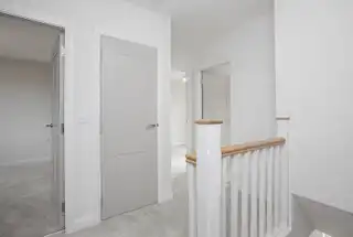 High TreesImage 17