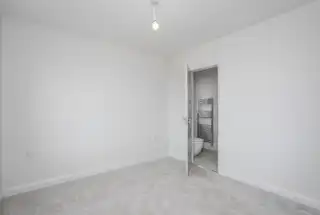 High TreesImage 19