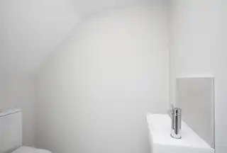 High TreesImage 10
