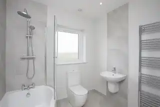 High TreesImage 24