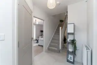 High TreesImage 7