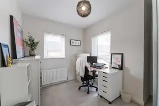High TreesImage 18