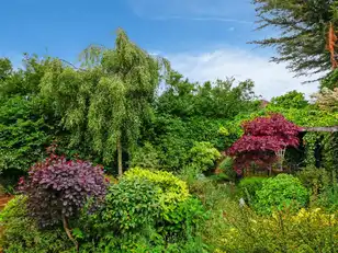 14 Lenaghan GardensImage 24