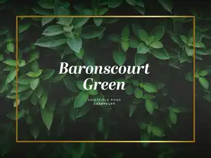 Baronscourt Green, Saintfield RoadImage 3
