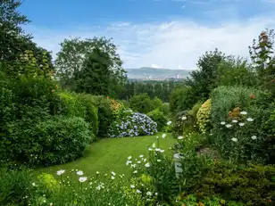 38 Glencregagh DriveImage 16