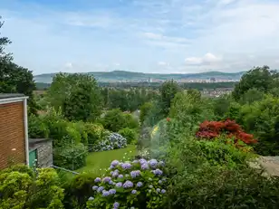 38 Glencregagh DriveImage 12