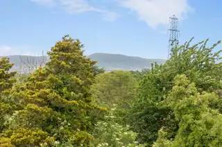 15 Lenaghan Park, Saintfield RoadImage 42