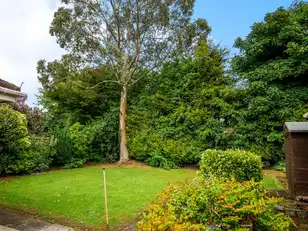 17 Beechill Park AvenueImage 10