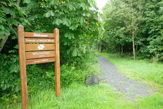 42 Forest GroveImage 12