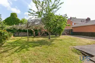 9 ParkleyImage 19