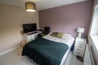 80 Bingnian DriveImage 10