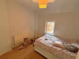 56 Ladbrook DriveImage 11