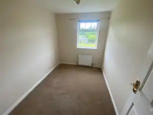 4 Viceroys WoodImage 7