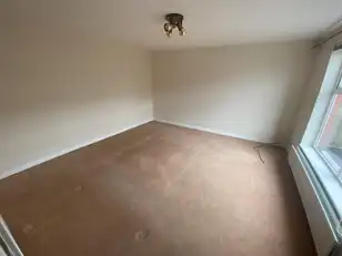 4 Viceroys WoodImage 5