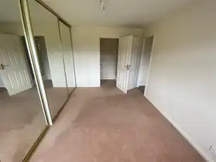 4 Viceroys WoodImage 12