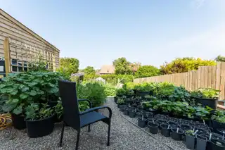 31 BellevueImage 17