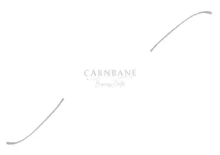 Carnbane Business ParkImage 38