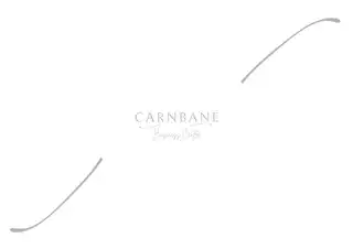 Carnbane Business CentreImage 2