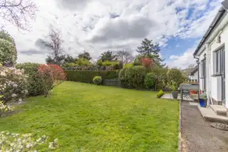 7 ClonedenImage 31
