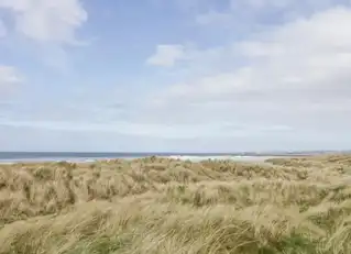 Sea RoadImage 17