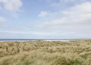 Sea RoadImage 21