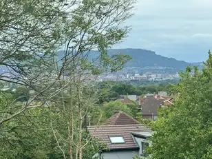 5 Beechill Park WestImage 5