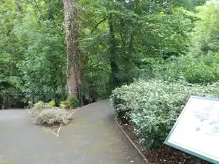 20 Six Mile Water MillImage 43