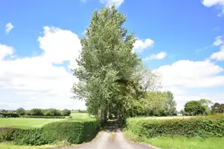 Barnish RoadImage 2