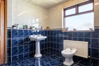 25 Knockmoyle DriveImage 38