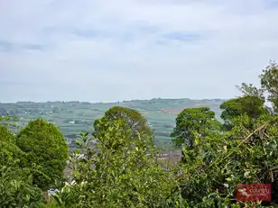 12 Brackens DaleImage 28