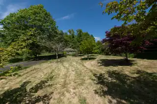 28 Manse RoadImage 36