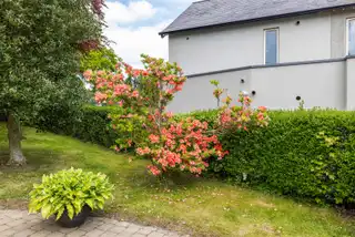 29 Newry RoadImage 69
