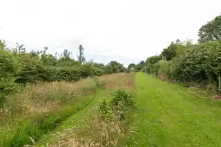 54 Comber RoadImage 22