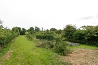 54 Comber RoadImage 19