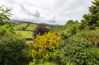24 Ballynahinch RoadImage 23