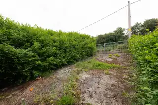 12 Ardpatrick AvenueImage 17