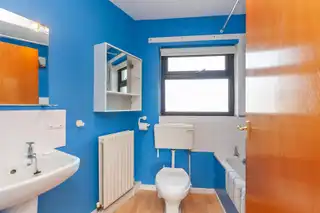 62 The GladeImage 10
