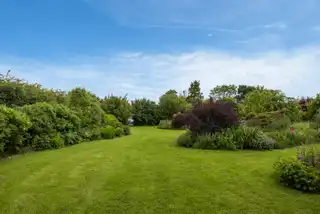 Middle RoadImage 42