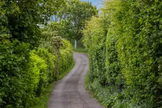 Middle RoadImage 39